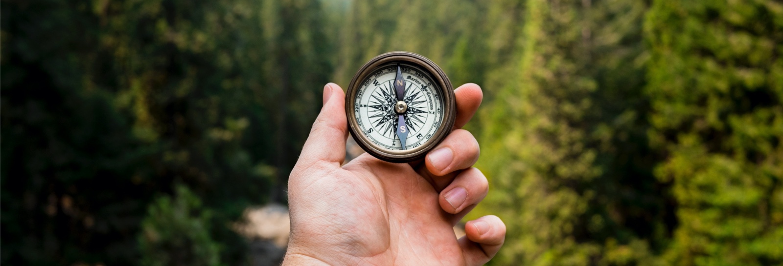 a person holding a compass in the wilderness